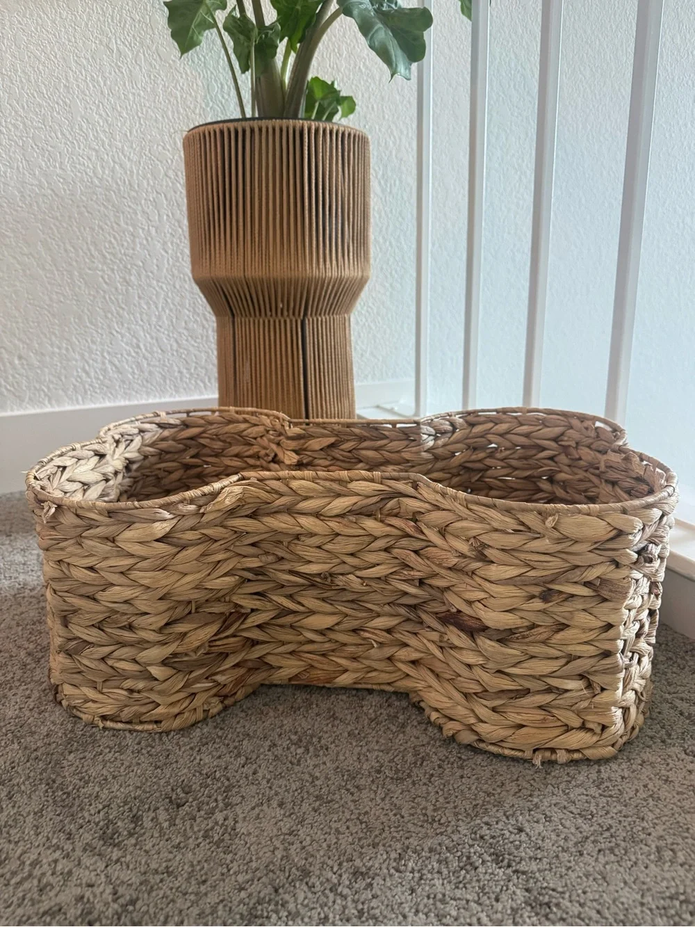 Handwoven Natural Seagrass Decorative Pet Basket 🦴 🧺